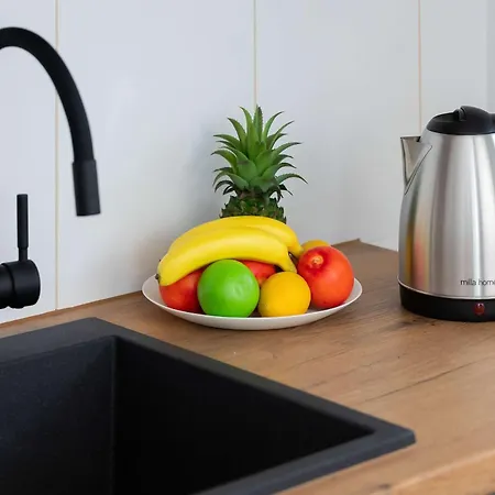 Apartamento Modern With Parking Close To The By Renters Chłapowo